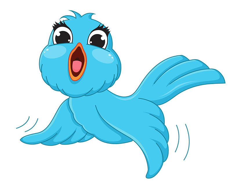 early_Bird
